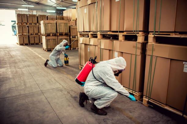 Best Flea Control Services  in Candor, NC