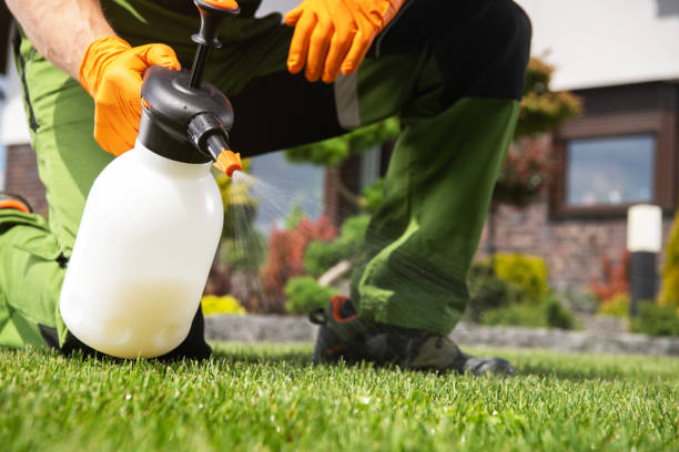  Candor, NC Pest Control Pros
