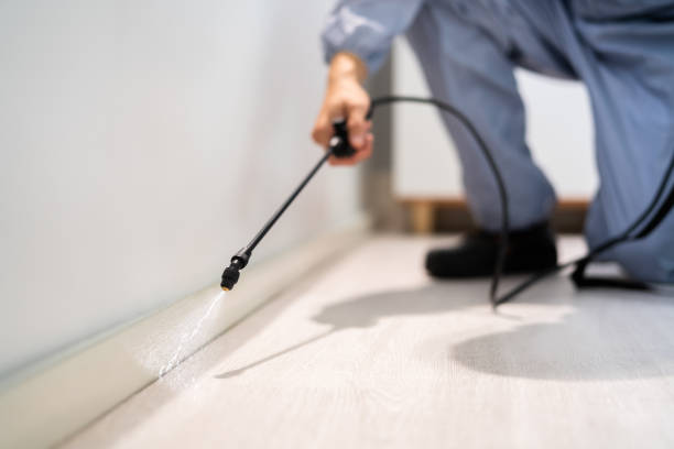 Best Flea Control Services  in Candor, NC