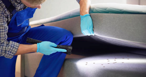 Best Local Pest Control Services  in Candor, NC