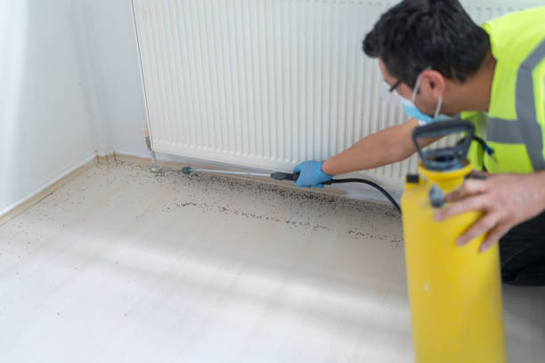 Best Best Pest Control Companies  in Candor, NC