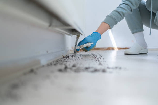Best Pest Prevention Services  in Candor, NC
