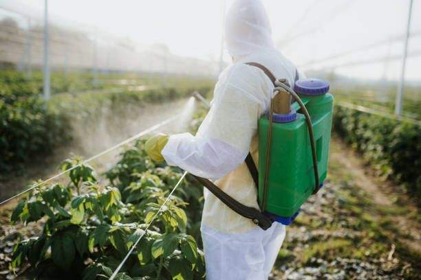 Best Residential Pest Control  in Candor, NC